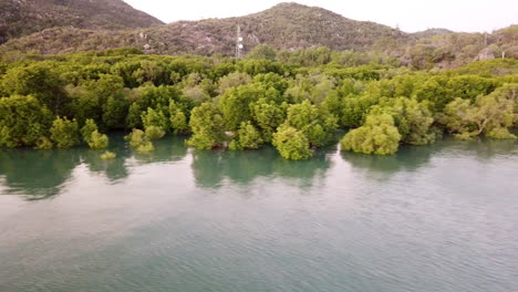 Aerial-footage-panning-across-mangroves-over-still-water-at-sunset