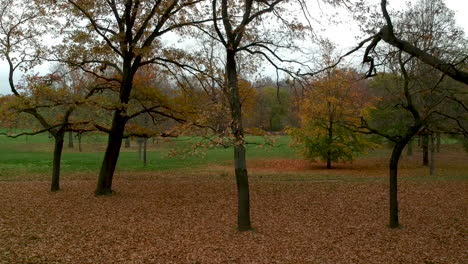 Aerial-shot-of-autumn-leaves-and-trees-in-Prater,-Vienna,-Austria-in-front-of-lush-green-park