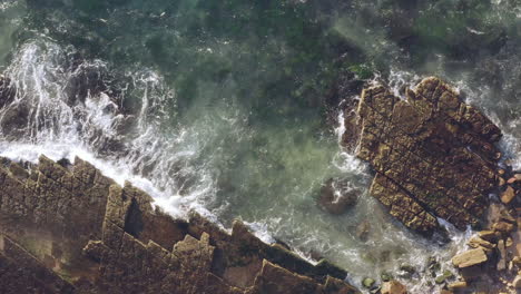 White-waves-rolling-up-onto-seaweed-covered-horizontal-bedded-sedimentary-ocean-rocks-aerial-view-slow-pan-left-to-right-of-screen-rocky-shoreline-Turimetta-Beach-Sydney-Australia