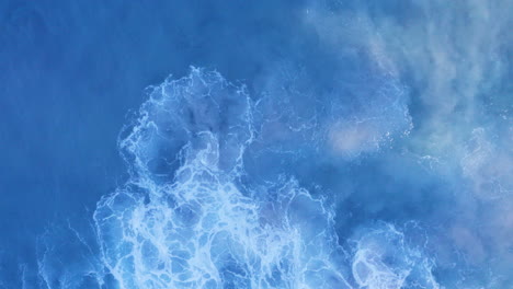 White-water-swirling-shallow-sandy-coastline-small-school-of-fish-top-of-screen-Tamarama-beach-Sydney-Australia-POV-drone