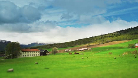 Un-Paisaje-Rural-Idílico-En-El-Norte-De-Noruega,-No-Lejos-De-La-Ciudad-De-Trondheim
