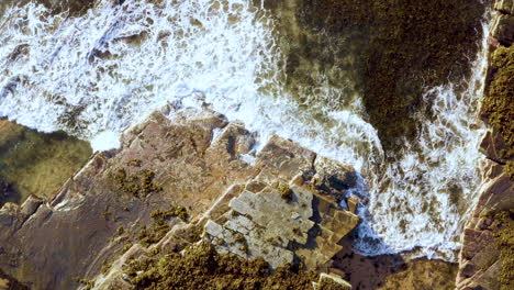 Wellen,-Die-Von-Der-Rechten-Ecke-Des-Rahmens-Auf-Horizontal-Eingebettete-Perm-sedimentgesteinsfelsen-Und-Braune-Algen-pov-drohne-Rollen,-Die-Den-Turimetta-strand-Wegziehen,-Sydney,-Australien