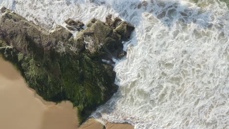 Weiße-Wellen-Rollen-Vom-Oberen-Bildschirmrand-Auf-Große,-Mit-Algen-Bedeckte-Horizontal-Gebettete-Sedimentgesteinsfelsen-Aus-Der-Luftaufnahme-Der-Felsigen-Küstenlinie-Des-Turimetta-Beach-Sydney-Australien