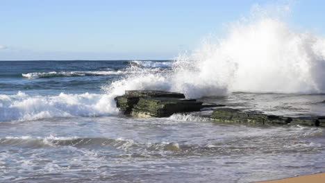 Large-waves-crashing-onto-seaweed-covered-horizontal-bedded-sedimentary-ocean-rocks-slow-motion-Turimetta-Beach-Sydney-Australia