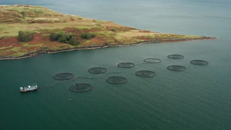 Fischfarmen-In-Schottland