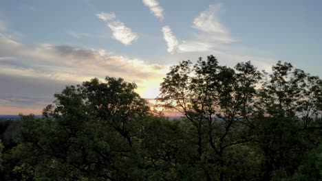 Schöner-Sonnenuntergang-Und-Himmel,-Der-Durch-Baumkronen-Schaut