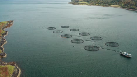 Fischfarmen-In-Schottland