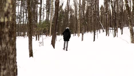 A-man-walks-in-the-snow-in-a-Canadian-national-park