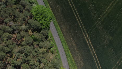 Aerial-shot-following-a-road-through-the-trees