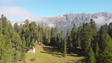 Luftdrohne-Im-Wald-Unter-Seceda-Gipfeln,-Italien