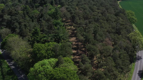 Aerial-shot-looking-up-and-over-the-woods-and-into-the-horizon