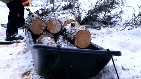 A-man-puts-wooden-logs-in-a-sled