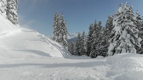 Skipiste-Mit-Bäumen-An-Der-Seite-Und-Mit-Bergen-Im-Hintergrund-An-Einem-Sonnigen-Tag-In-Den-Alpen