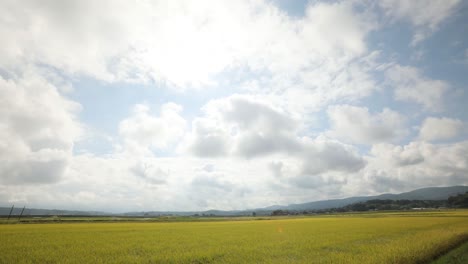 Zeitraffer-Des-Japanischen-Reisfeldes-Und-Des-Himmels