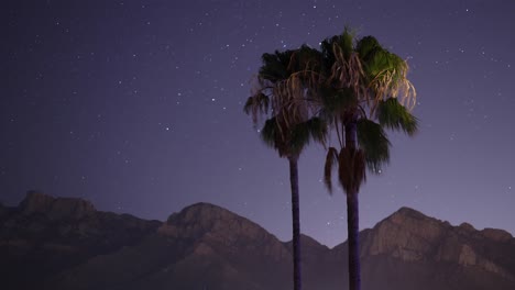 Stars-travel-behind-palm-trees-and-Catalina-Mountains,-Arizona,-timelapse