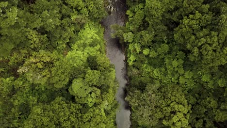 Lush-Green-Forests-Of-Tangarakau-North-Island,-New-Zealand---aerial-shot