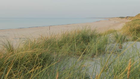Malerischer-Blick-über-Den-Strand-Kippkamera-Mit-Gras-Im-Vordergrund