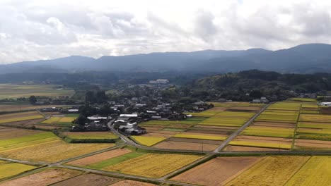 Zeitrafferflug-über-Reisfelder-Im-Ländlichen-Japan