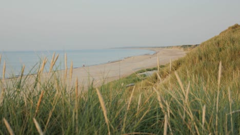 Scenic-view-over-beach-focus-shifted-from-grass-to-beach-in-background