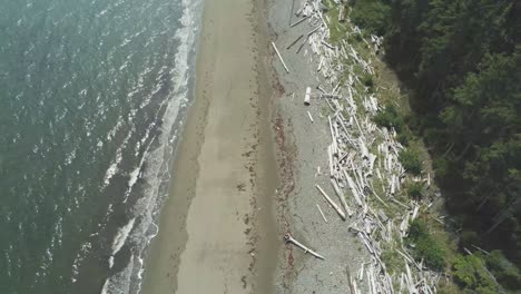 Pan-up-+-zoom-out-of-coastal-beach,-Miller-Creek,-Haida-Gwaii