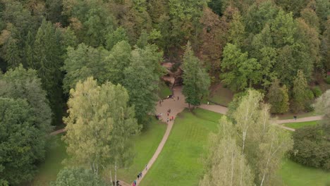 Aerial-panoramic-drone-shot-over-green-lush-forest-park-in-autumn