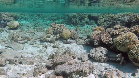 Oberflächenwasserreflexionen,-Flaches-Korallenriff,-Kleine-Fische,-Handheld