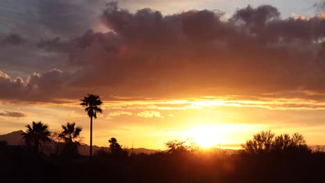 Colorful-sunset-light-breaks-through-storm-clouds-silhouetting-palms,-Arizona