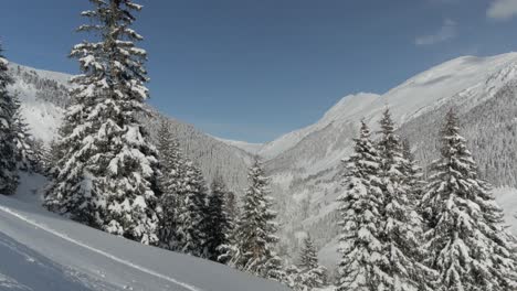Malerischer-Blick-über-Schneebedeckte-Bäume-Und-Berge-Bei-Sonnigem-Wetter,-Schwenk