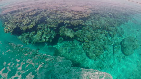 Motoring-Around-Minerva-Coral-Reef-Head,-Clear,-Still-Water-HANDHELD
