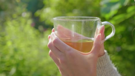 Female-hands-hold-clear-glass-of-steaming-tea-outdoors,-close-up