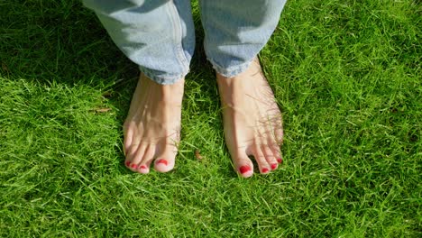 Bare-female-feet-wriggle-toes-in-sunny-green-grass,-high-angle