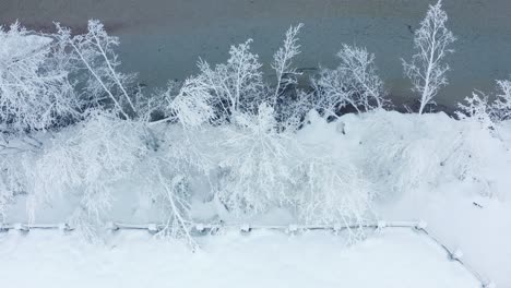 Trees-covered-with-the-filigree-of-the-hoarfrost-stand-on-the-riverbank