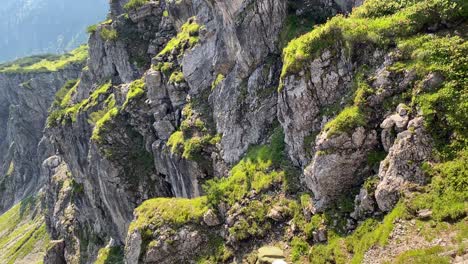 Man-Climbing-On-The-Rocky-Mountain-Cliff-With-Lush-Green-Grass-On-A-Sunny-Summer-Day-In-The-Via-Ferrata-Route,-Kanzelwand,-Austria