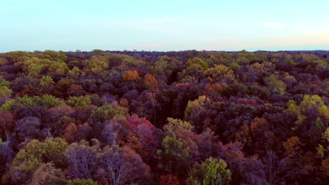 Herbstfarben-Der-Blätter-Von-New-Jersey