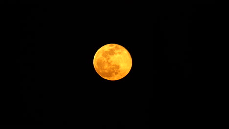close-up-shot-of-Yellow-moon-going-up-in-the-sky-at-night
