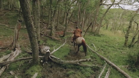 A-person-riding-a-horse-and-a-dog-are-walking-through-the-woods