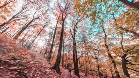 Herbstspaziergang-Im-Hvezda-Park