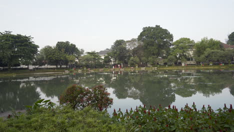 wide-shot-of-a-park-with-a-calm-lake-and-a-bunch-of-trees-at-the-background-in-the-evening
