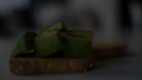 Shadows-running-on-the-steady-avocado-toast-shot