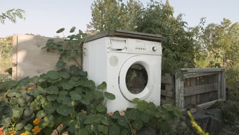 A-Large-Broken-Washing-Machine-Left-Abandoned-Covered-With-Creeping-Plants