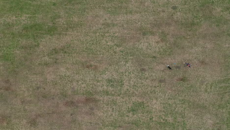 Aerial-top-down-view-of-man-with-his-boarder-collie-playing-frisbee-on-grass-field