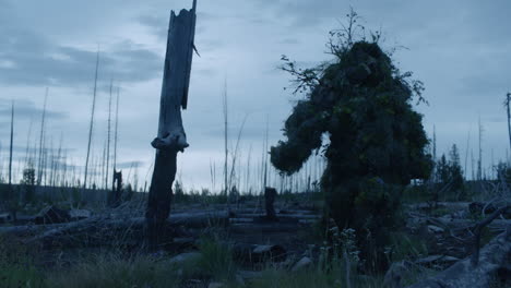 A-hunter-in-a-twig-and-leaf-ghillie-suit-walks-through-grass