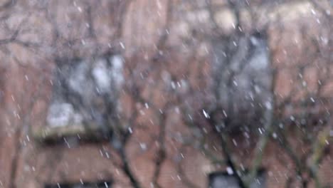 Snow-Flakes-tumbling-down-swaying-in-the-winter-breeze,-covering-the-streets-of-Brooklyn,-New-York---Detail-shot-Slow-Motion
