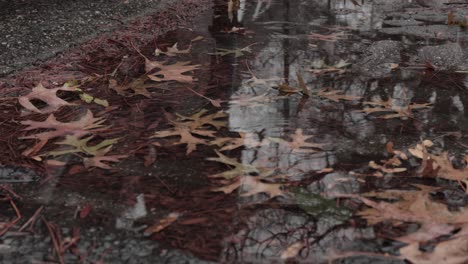 Small-puddle-with-fallen-autumn-leaves-reflecting-the-pedestrians-on-the-sidewalk-during-gentle-snowstorm-in-Brooklyn,-New-York---High-angle-close-up-shot