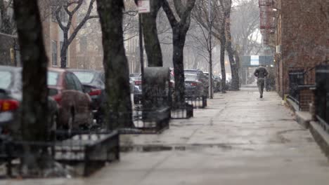 Man-strolling-down-Brooklyn-street-block-under-snowfall-in-New-York-city---Slow-motion-Static-medium-shot