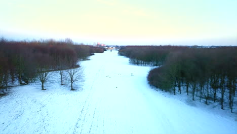 Schneebedeckter-Weg-Durch-Den-Wald-Im-Winter
