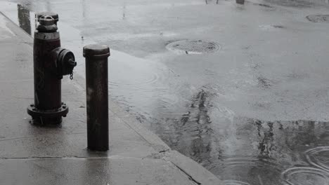 Street-bollard-and-Fire-hydrant-on-the-edge-of-the-sidewalk-being-buffeted-by-a-rainy-snowy-overcast-day-in-Brooklyn,-New-York---Medium-high-angle-shot
