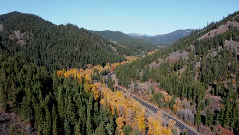 Wild-winding-mountain-road-through-autumn-forest-in-Washington,-USA