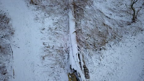 Obere-Aufnahme-Eines-Toten-Baumes,-Der-Mit-Schnee-Bedeckt-Ist