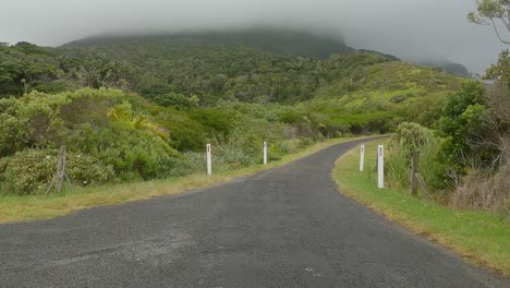 Taking-right-road-towards-Mt-Gower-past-a-Lord-Howe-Woodhen-road-sign